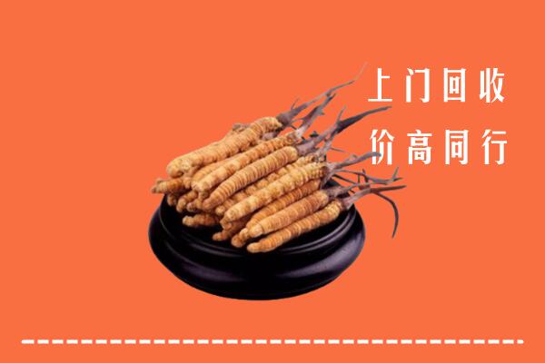 高价求购：宜良县回收散虫草