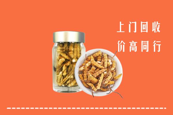 宜良县回收冬虫夏草